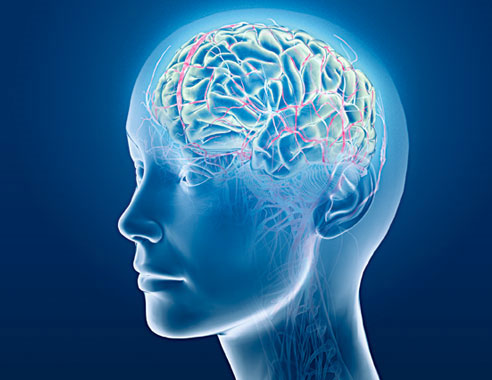 Top 3 thuốc bổ não tăng cường trí nhớ
